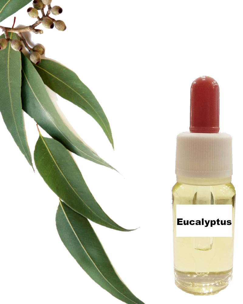 Ευκάλυπτος (15 ml) Ευκάλυπτος (15 ml)