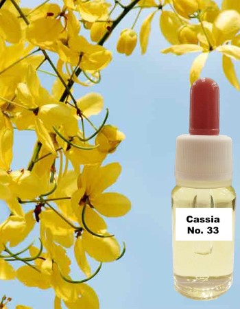 Γαζία Ολλανδίας Ν.33 (15 ml) Γαζία Ολλανδίας Ν.33 (15 ml)