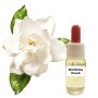 Γαρδένια (15 ml)