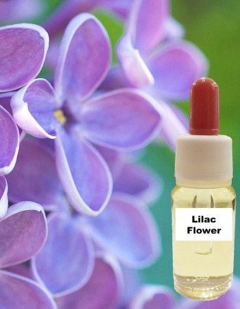 Πασχαλιά (15 ml) Πασχαλιά (15 ml)