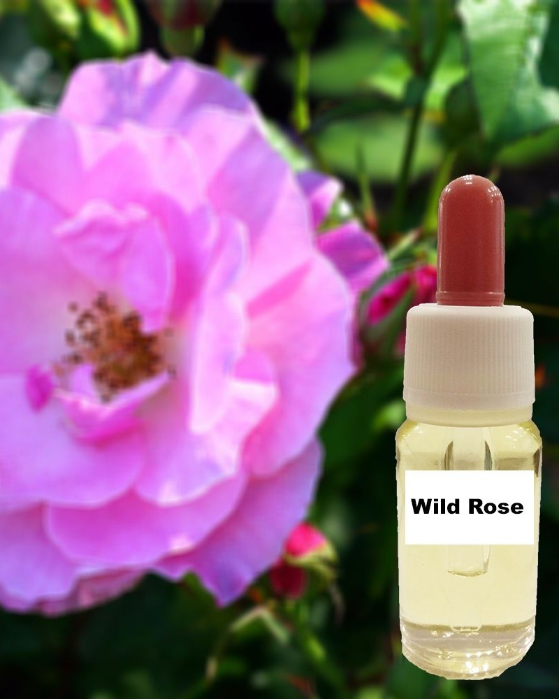 Άγριο τριαντάφυλλο (15 ml)